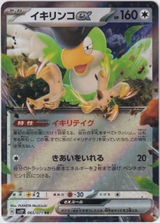 Squawkabilly EX #065
